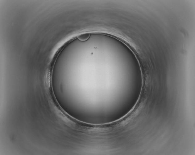 X0000115851510200911131541