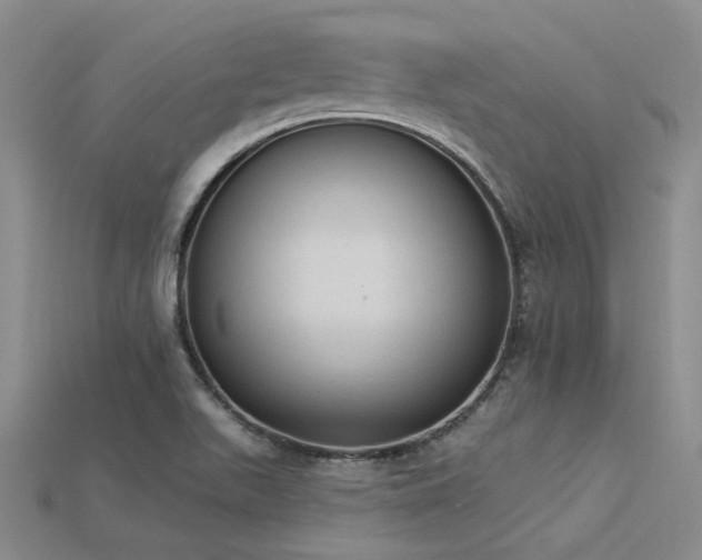 X0000115851511200911131541