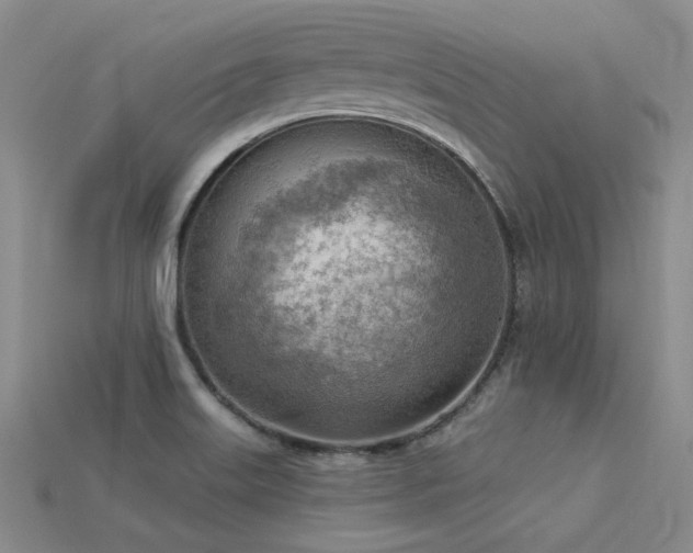 X0000115851515200911131541