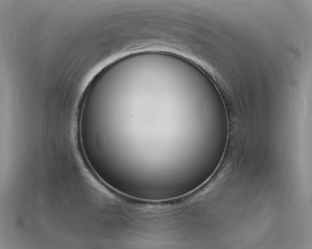 X0000115851518200911131541