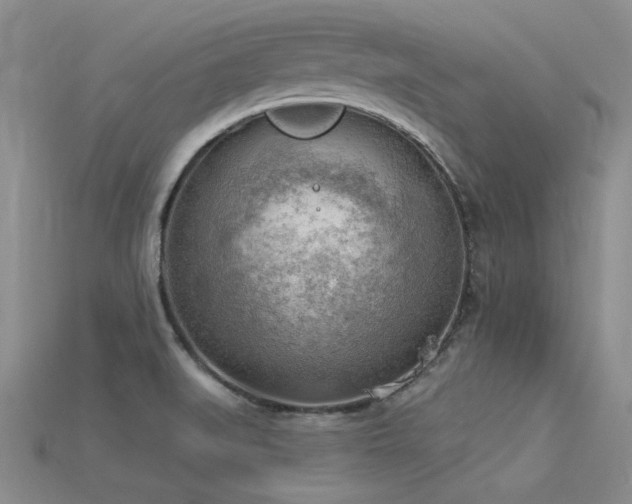 X0000115851519200911131541