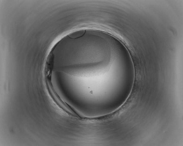 X0000115851522200911131541
