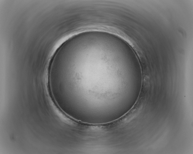 X0000115851523200911131541