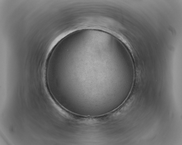 X0000115851525200911131541