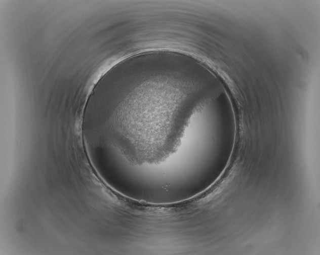 X0000115851529200911131541