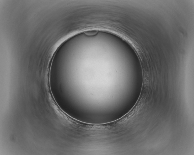 X0000115851534200911131541