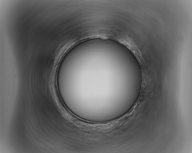 X0000115850001200911201623