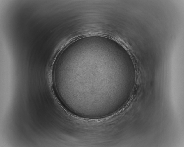 X0000115850002200911201623