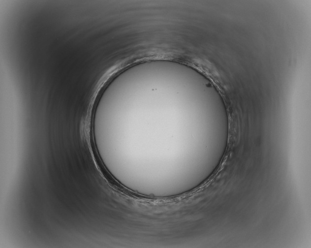 X0000115850003200911201623