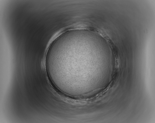 X0000115850004200911201623
