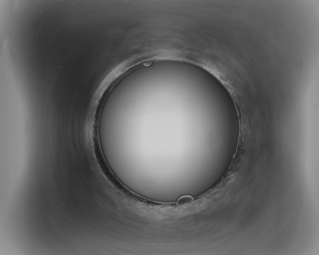 X0000115850007200911201623