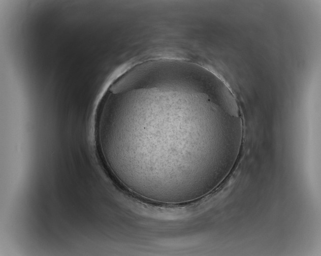 X0000115850008200911201623