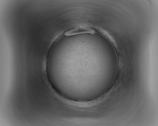 X0000115850010200911201623