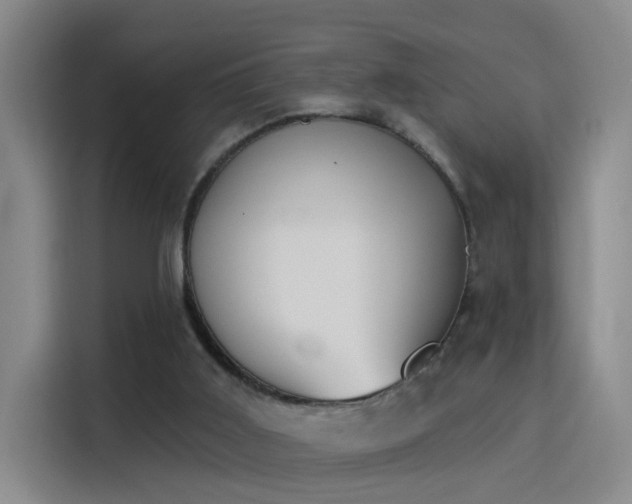 X0000115850011200911201623
