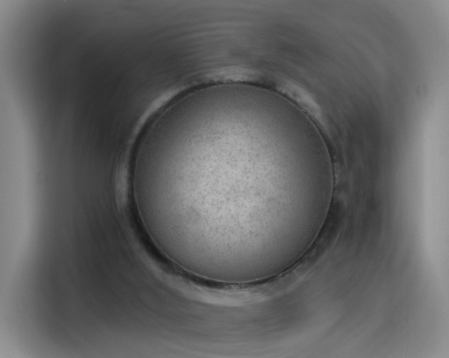 X0000115850012200911201623