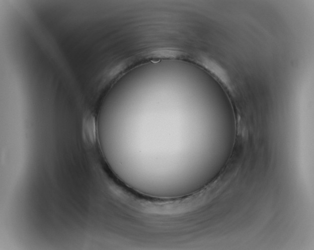 X0000115850013200911201623