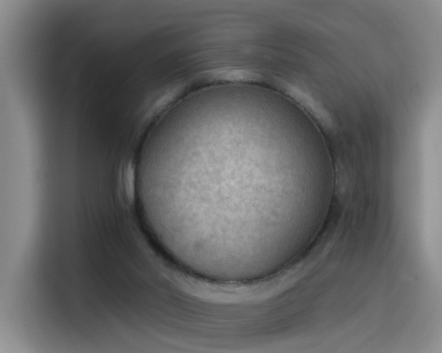 X0000115850014200911201623