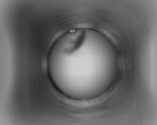 X0000115850015200911201623