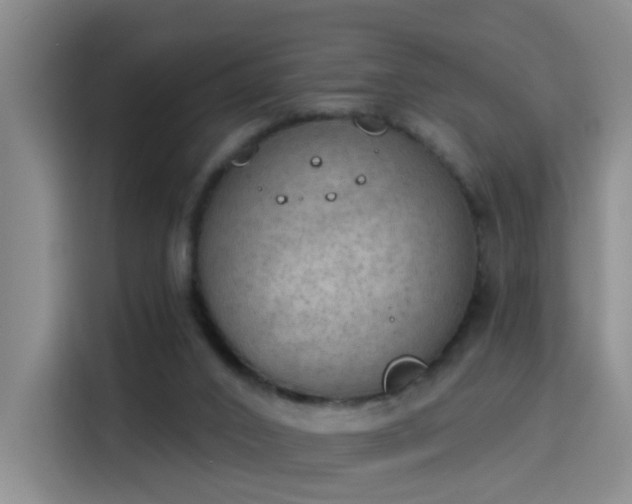 X0000115850016200911201623