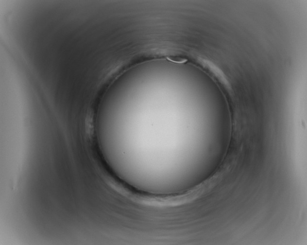 X0000115850017200911201623