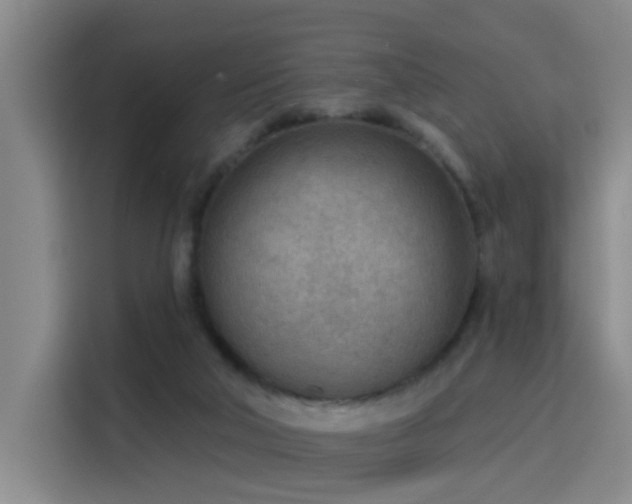 X0000115850018200911201622