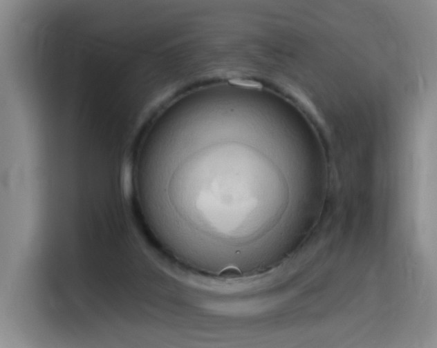 X0000115850019200911201622
