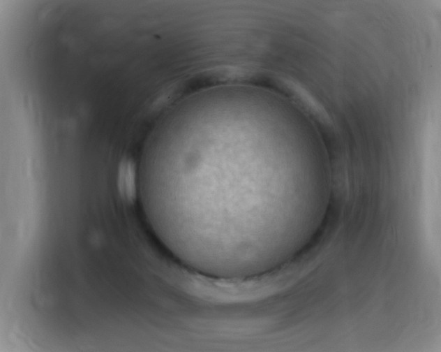 X0000115850022200911201622