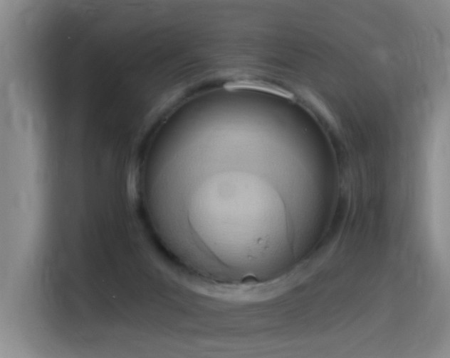 X0000115850023200911201622