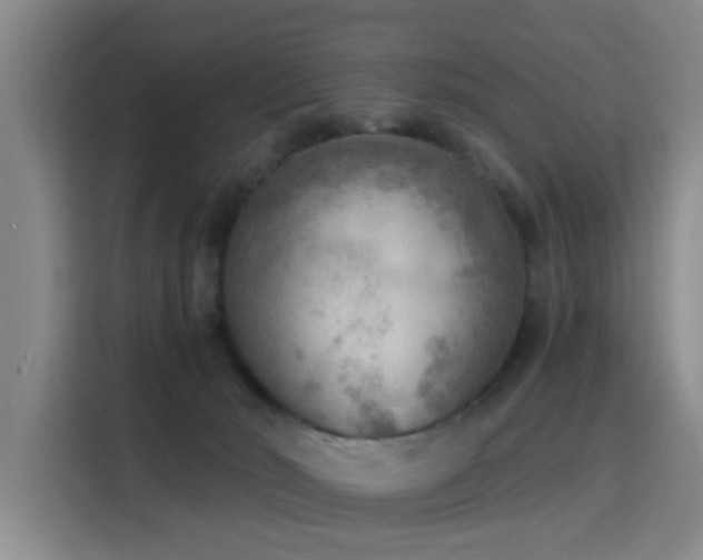 X0000115850030200911201622