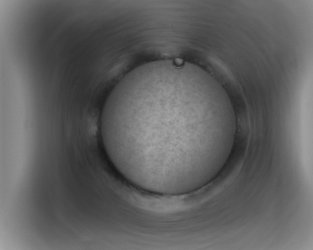 X0000115850032200911201622