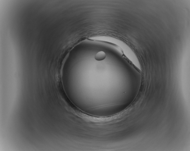 X0000115850039200911201622