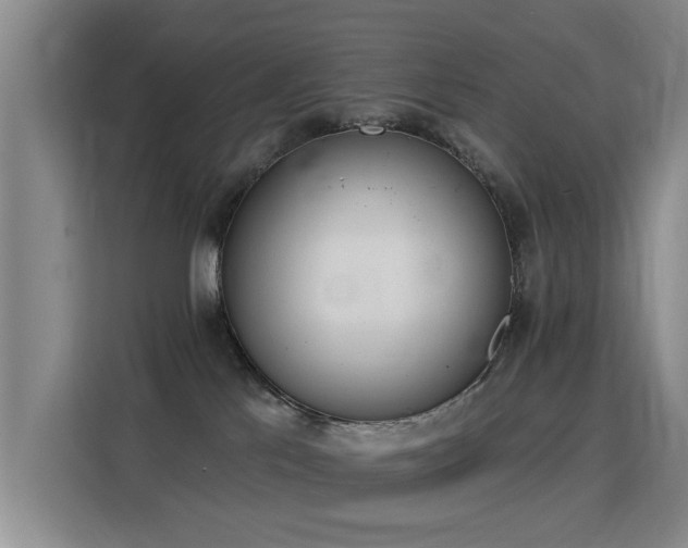 X0000115850041200911201622