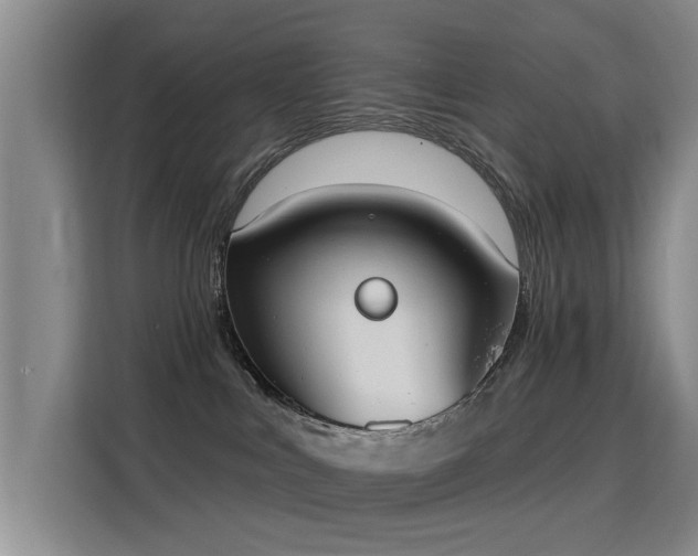 X0000115850043200911201622