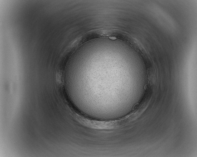 X0000115850044200911201622