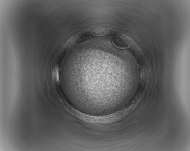 X0000115850046200911201622