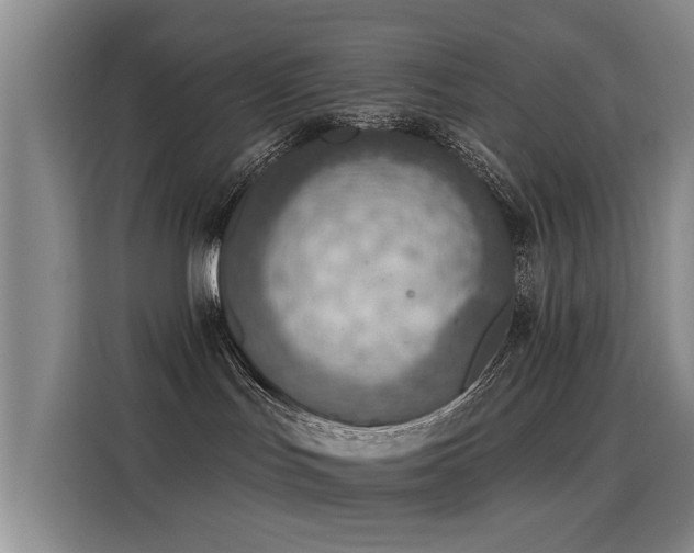 X0000115850047200911201622