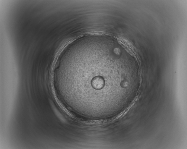X0000115850049200911201621
