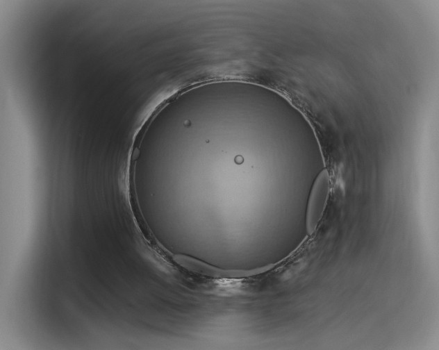 X0000115850052200911201622