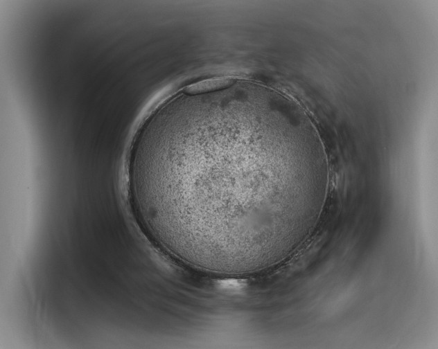 X0000115850053200911201622