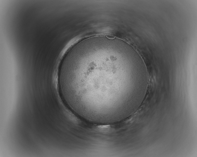 X0000115850054200911201622
