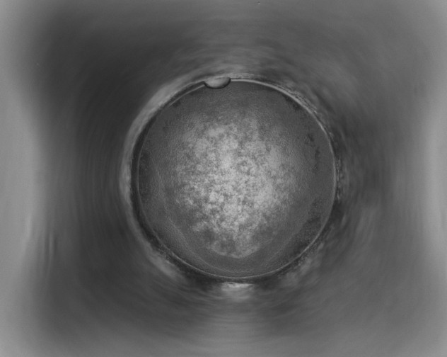 X0000115850055200911201622