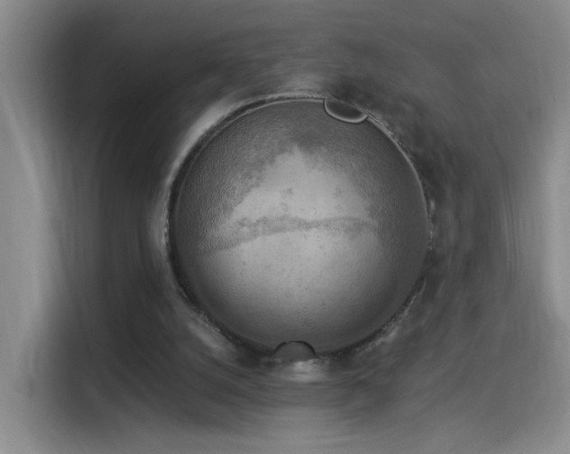 X0000115850056200911201622