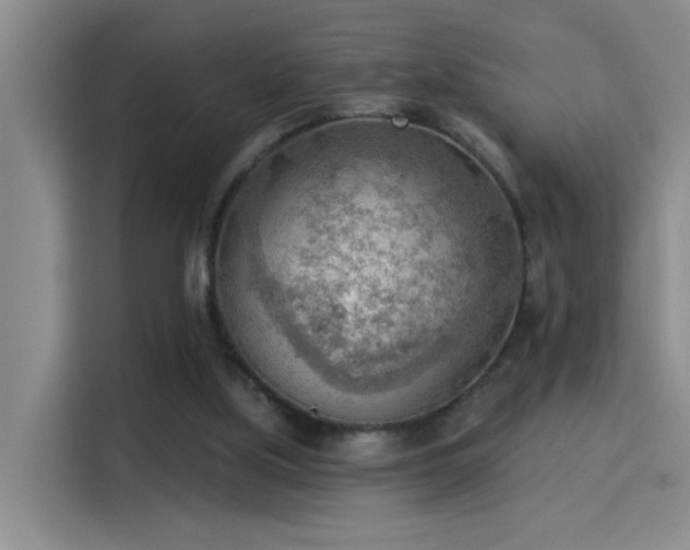 X0000115850059200911201622