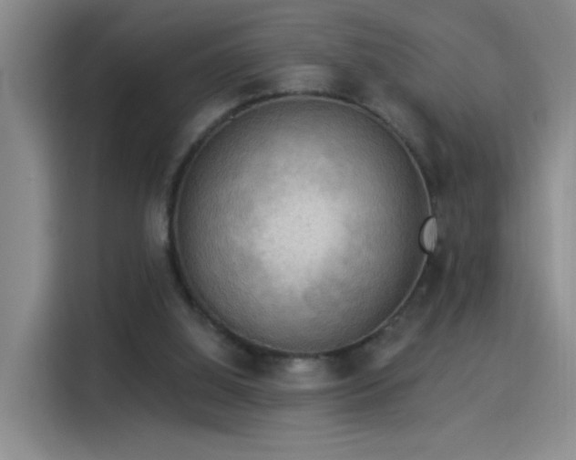 X0000115850060200911201622