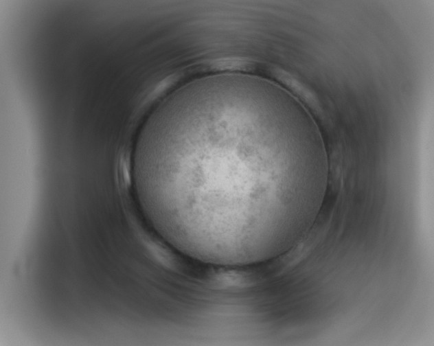 X0000115850062200911201622