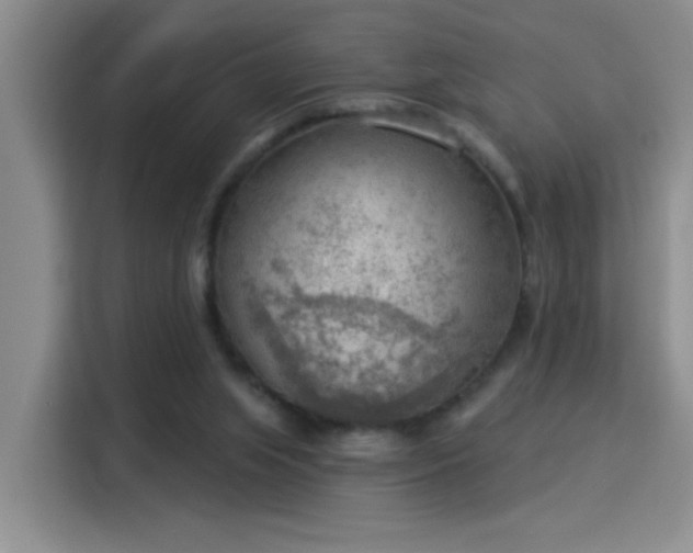 X0000115850063200911201622