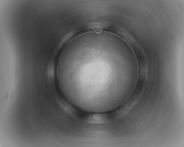 X0000115850064200911201622