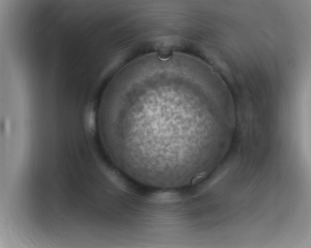 X0000115850067200911201622