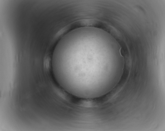 X0000115850071200911201622