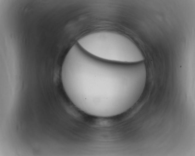 X0000115850073200911201622